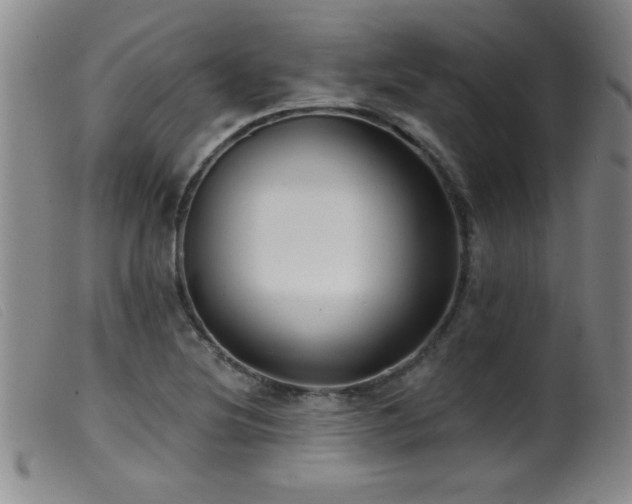 X0000099541220200805161420