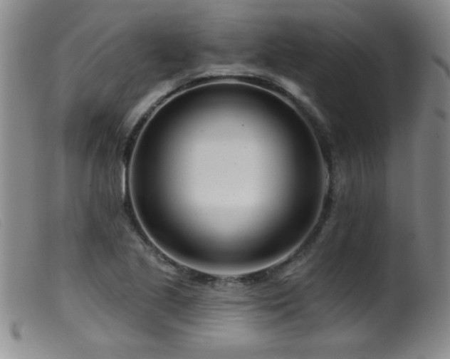 X0000099541221200805161420