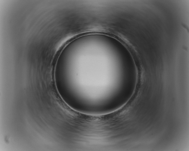 X0000099541222200805161420