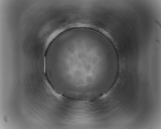 X0000099541223200805161420