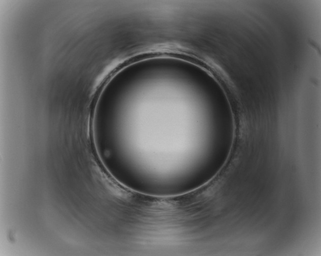 X0000099541224200805161420