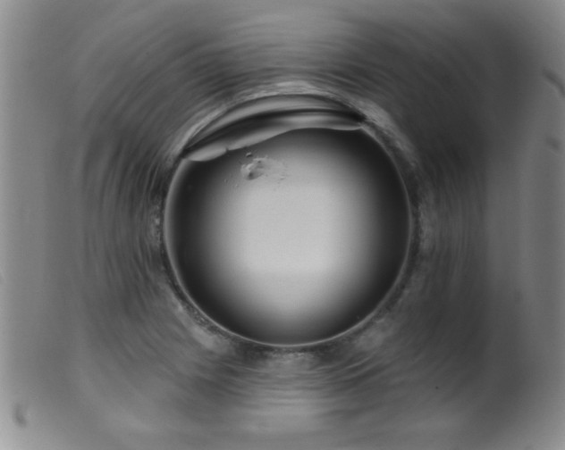 X0000099541225200805161420