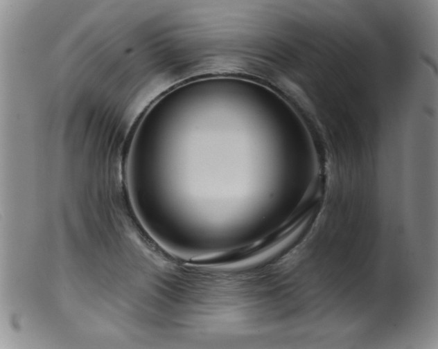 X0000099541226200805161420