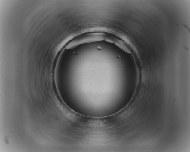 X0000099541229200805161420