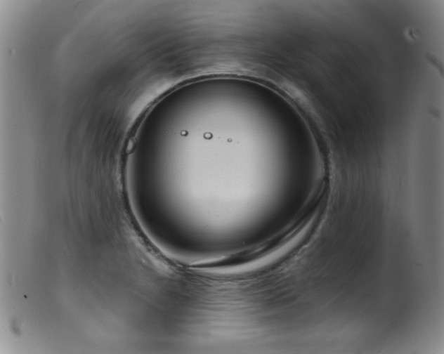 X0000099541230200805161420