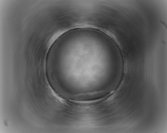 X0000099541231200805161420