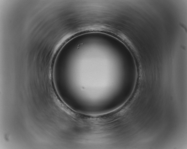 X0000099541232200805161420