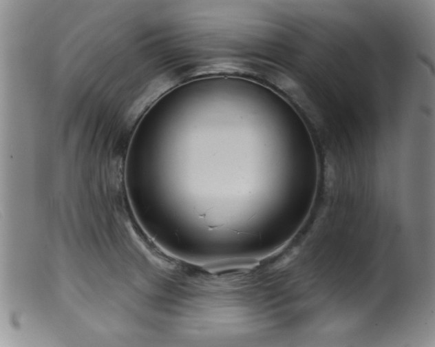 X0000099541233200805161420
