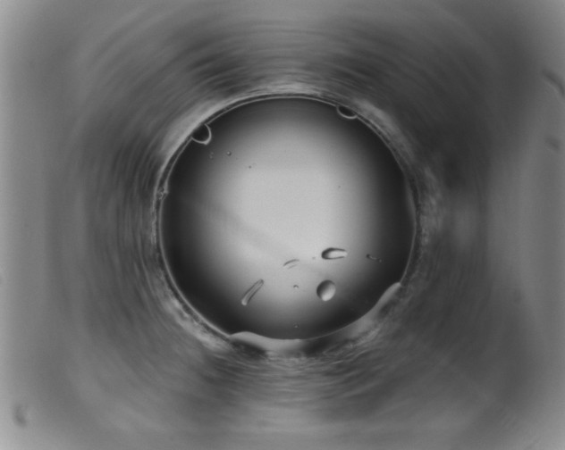 X0000099541236200805161420