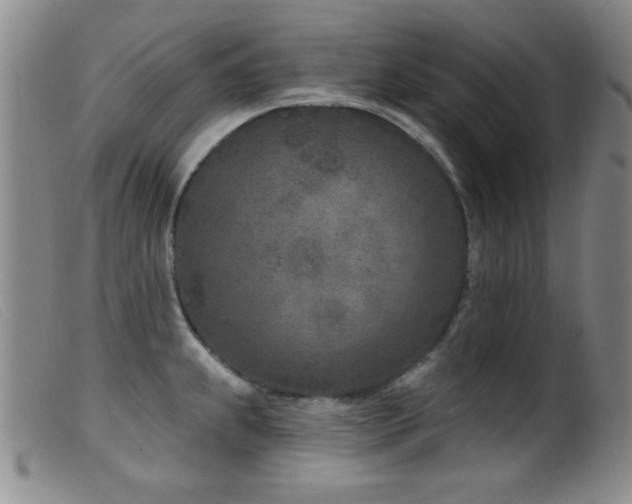 X0000099541239200805161420
