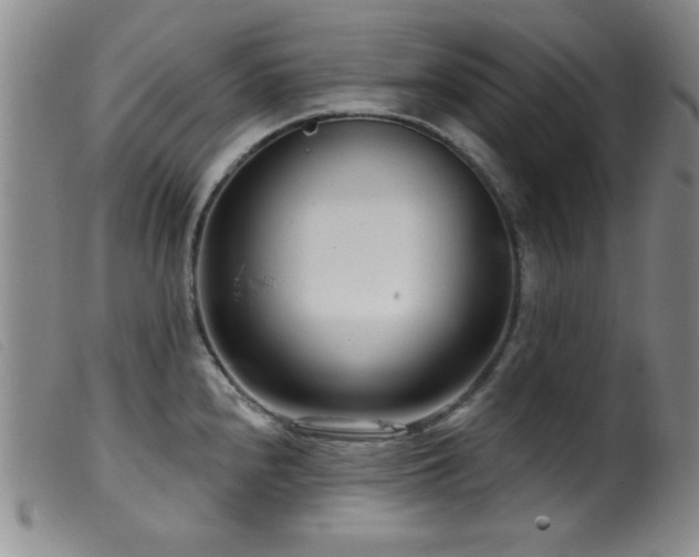 X0000099541240200805161420