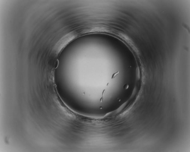 X0000099541241200805161420