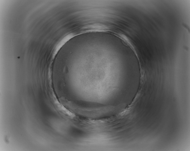 X0000099541243200805161420