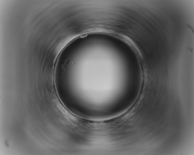 X0000099541244200805161420
