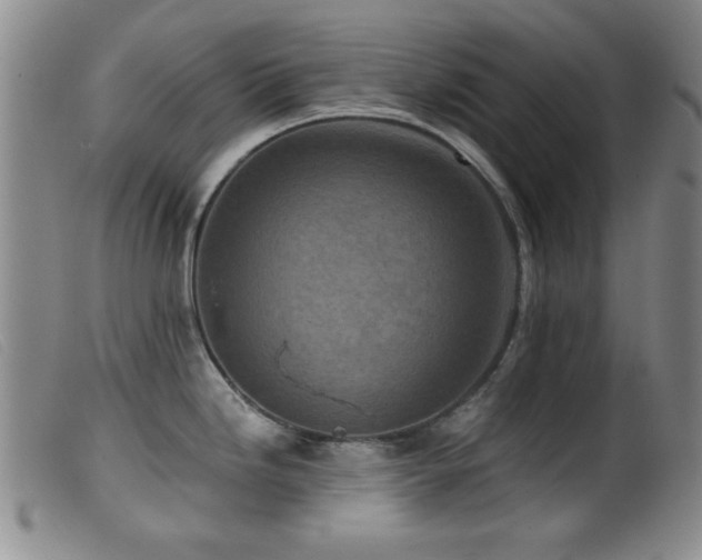 X0000099541246200805161420