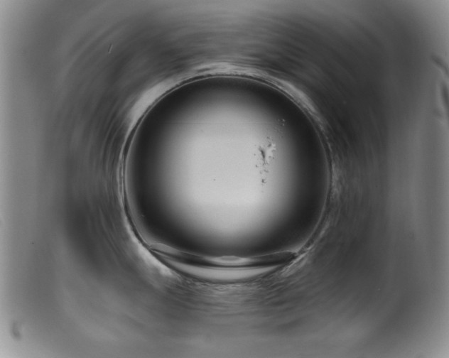 X0000099541247200805161420