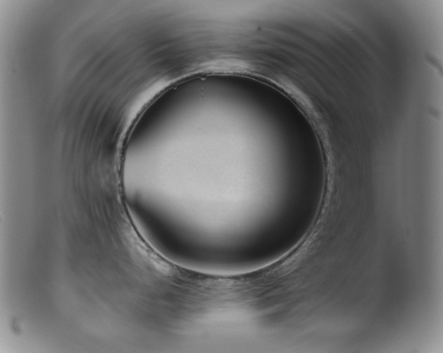 X0000099541248200805161420