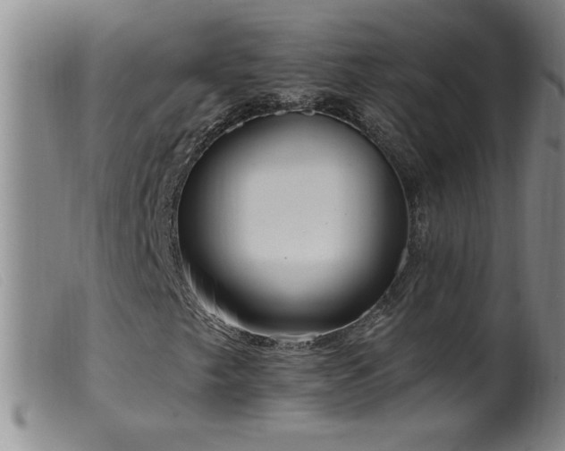 X0000099541249200805161419