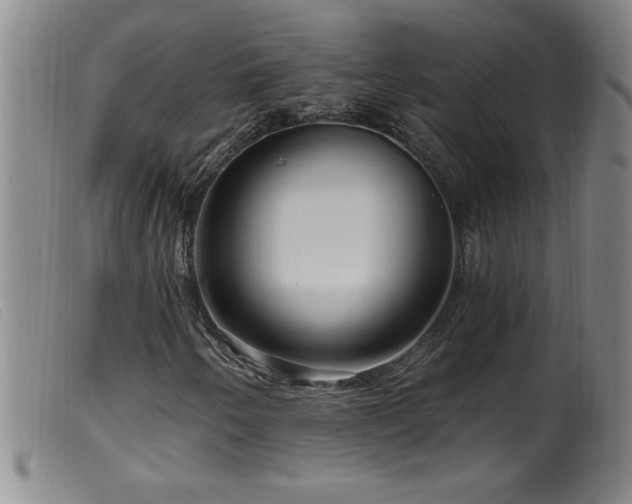 X0000099541250200805161419