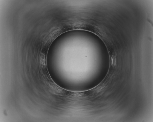 X0000099541251200805161419