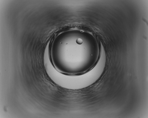 X0000099541252200805161419