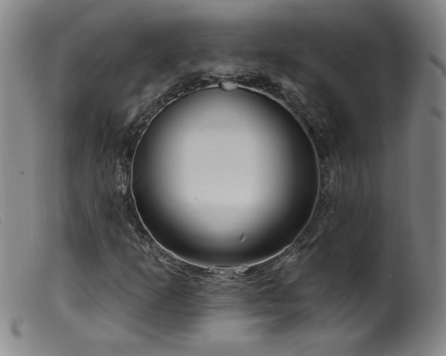 X0000099541253200805161419