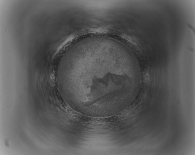 X0000099541254200805161419