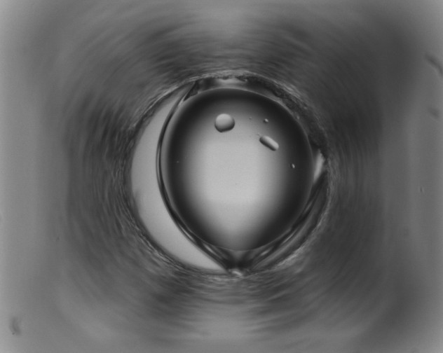 X0000099541257200805161419
