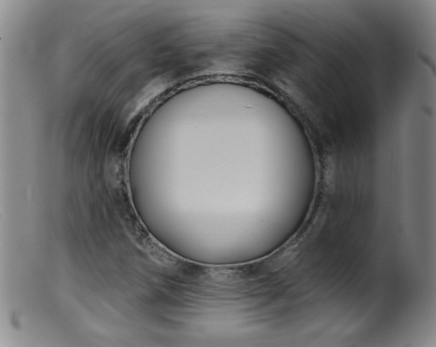 X0000099541258200805161419