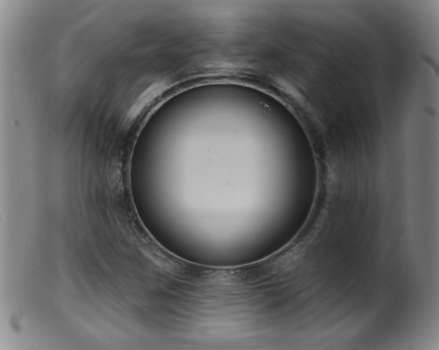 X0000099541259200805161419