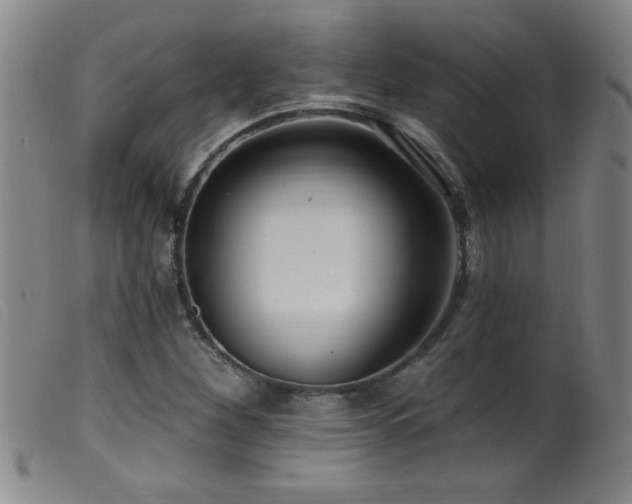 X0000099541260200805161419