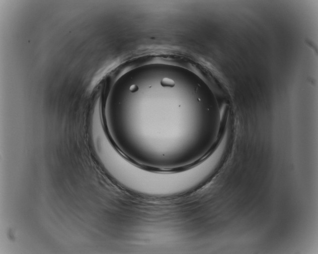 X0000099541261200805161419