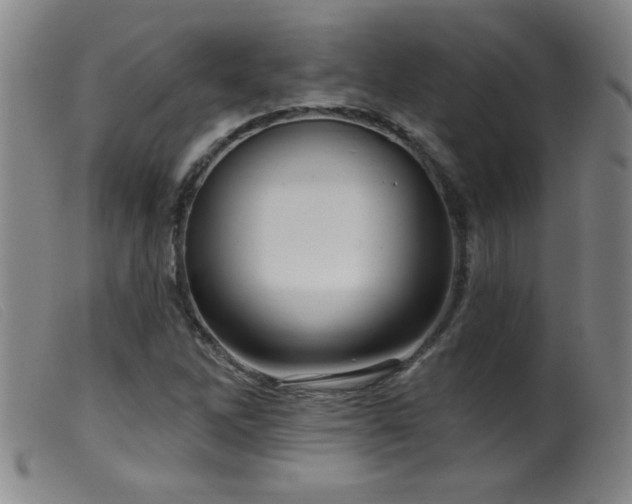 X0000099541262200805161419