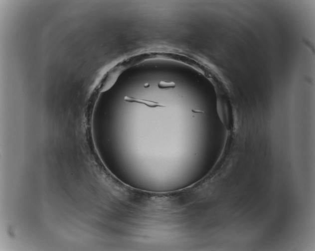 X0000099541264200805161419