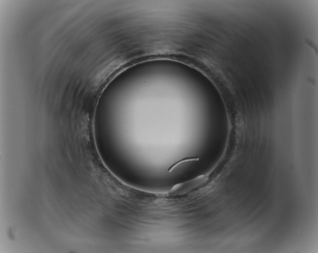 X0000099541265200805161419