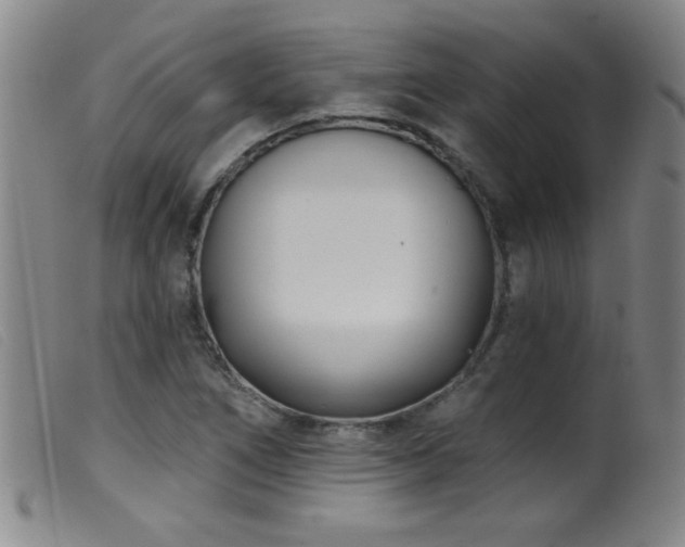 X0000099541266200805161419