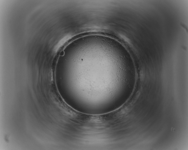 X0000099541267200805161419