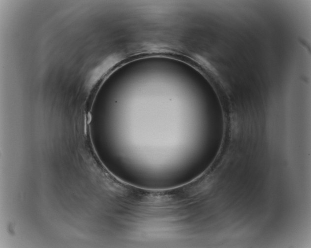 X0000099541269200805161419