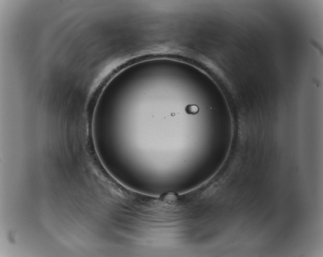 X0000099541270200805161419