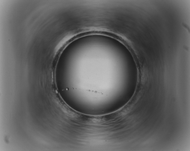 X0000099541271200805161419