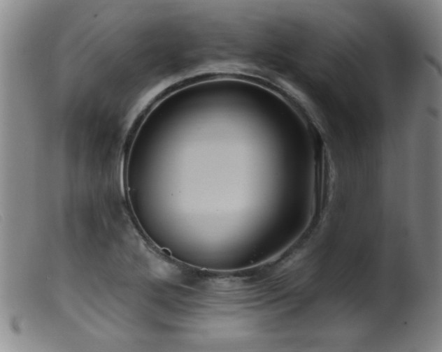 X0000099541272200805161419