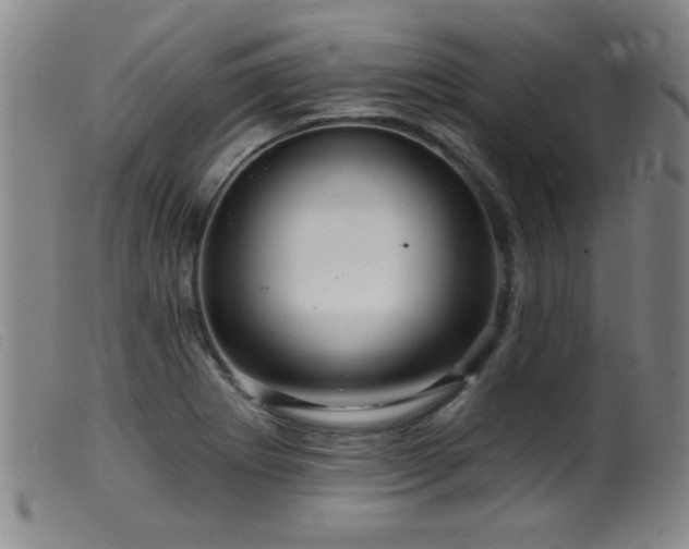 X0000099541273200805161419