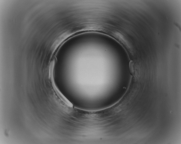 X0000099541276200805161419