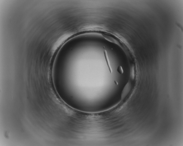 X0000099541277200805161419