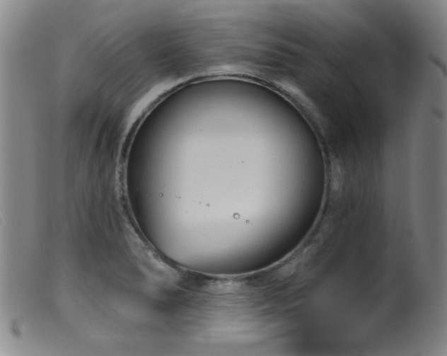 X0000099541278200805161419