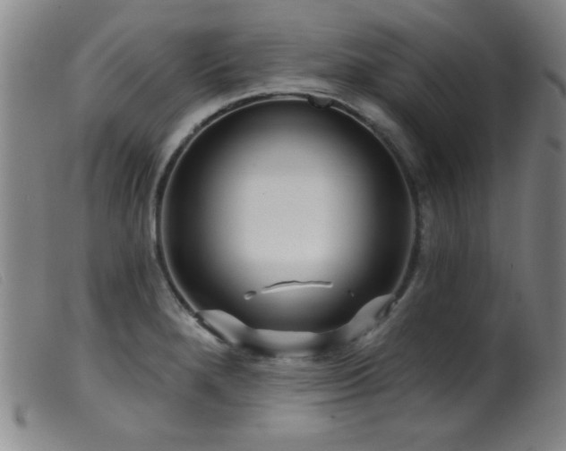 X0000099541280200805161419