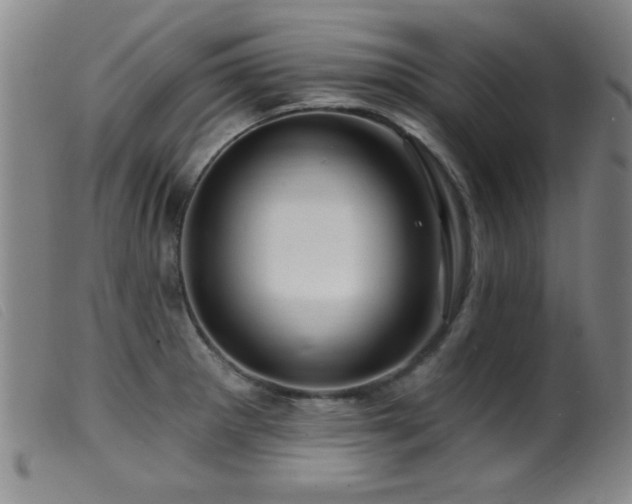 X0000099541281200805161419