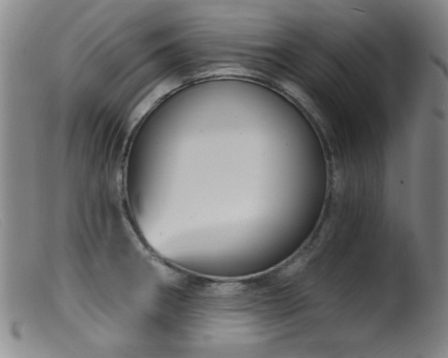 X0000099541282200805161419