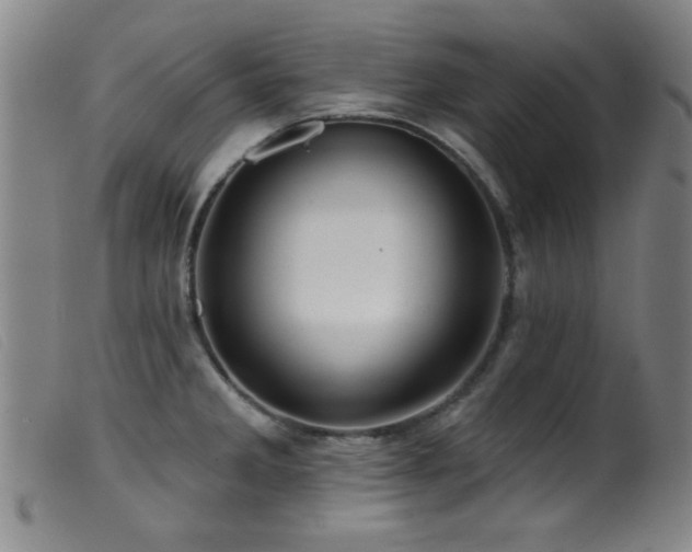X0000099541285200805161419