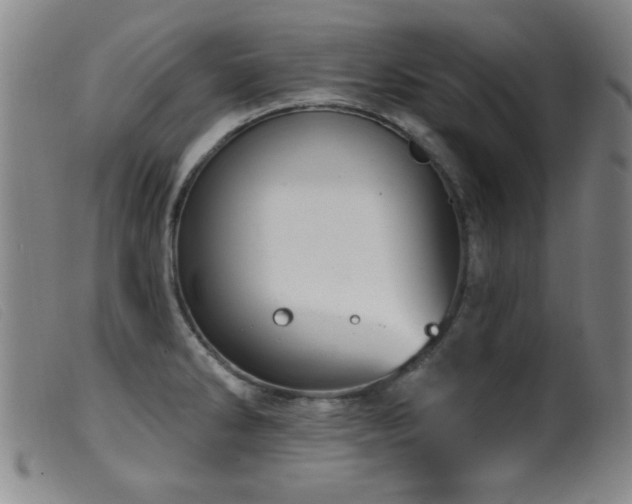 X0000099541286200805161419